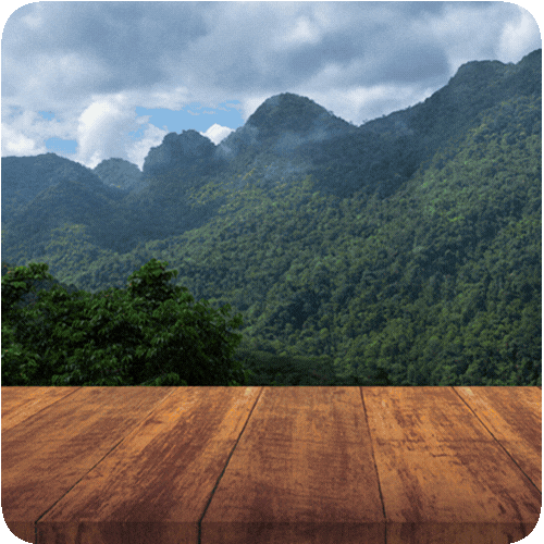 faroeste-beer-cerveja-ipa-2